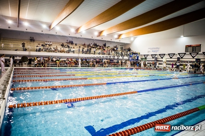 Zdjęcie w galerii na portalu naszraciborz.pl: Polska Liga Pływacka gości w Raciborzu FOTO wiadomości z regionu
