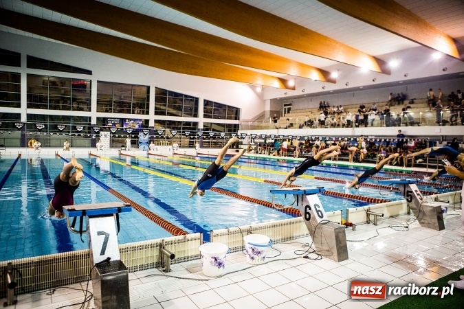 Zdjęcie w galerii na portalu naszraciborz.pl: Polska Liga Pływacka gości w Raciborzu FOTO wiadomości z regionu