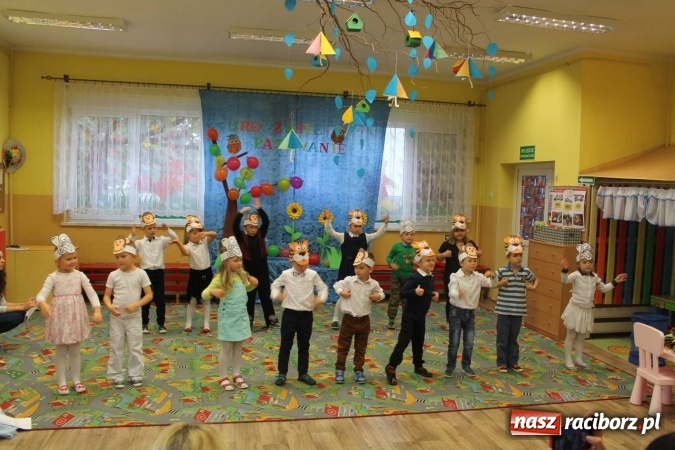Zdjęcie w galerii na portalu naszraciborz.pl: Uroczyste pasowanie w Przedszkolu im. Kubusia Puchatka w Raciborzu-Sudole wiadomości z regionu