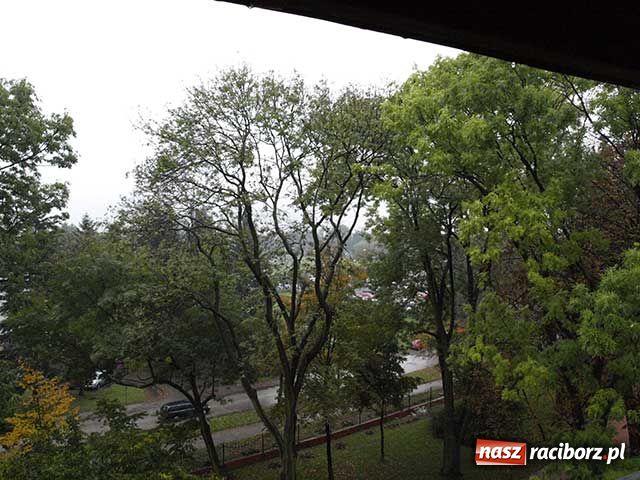 Zdjęcie w galerii na portalu naszraciborz.pl: Dom strzelecki po remoncie wiadomości z regionu