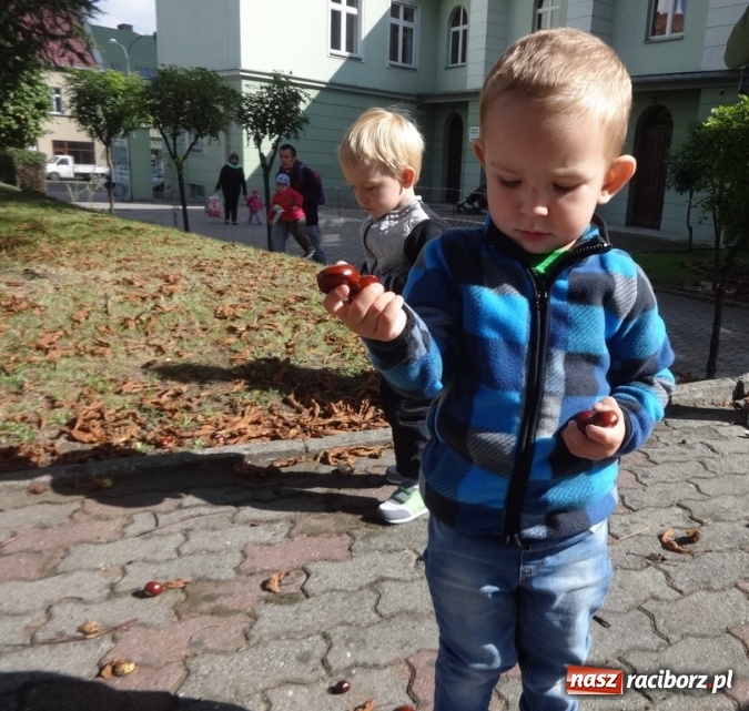 Zdjęcie w galerii na portalu naszraciborz.pl: Piękna jesień u maluchów w RCK wiadomości z regionu