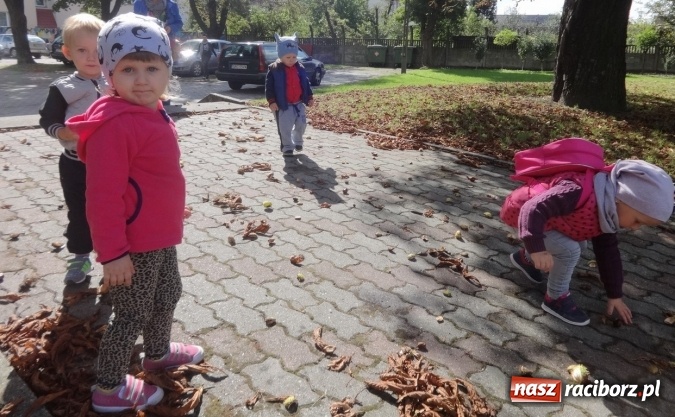 Zdjęcie w galerii na portalu naszraciborz.pl: Piękna jesień u maluchów w RCK wiadomości z regionu