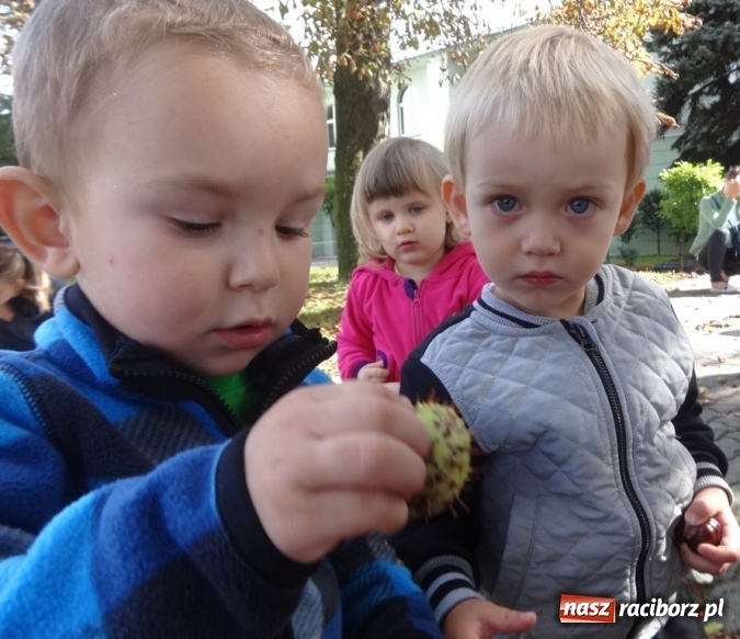 Zdjęcie w galerii na portalu naszraciborz.pl: Piękna jesień u maluchów w RCK wiadomości z regionu