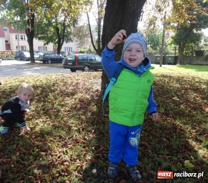 Zdjęcie w galerii na portalu naszraciborz.pl: Piękna jesień u maluchów w RCK wiadomości z regionu
