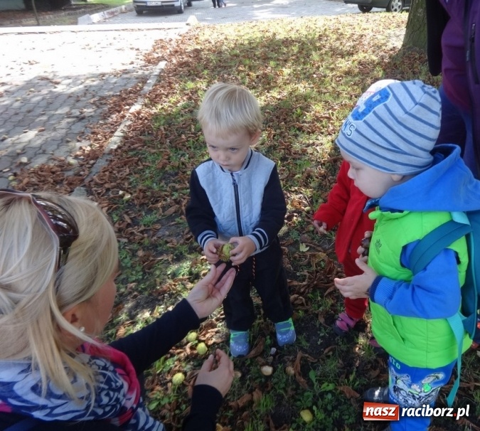 Zdjęcie w galerii na portalu naszraciborz.pl: Piękna jesień u maluchów w RCK wiadomości z regionu