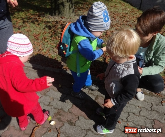 Zdjęcie w galerii na portalu naszraciborz.pl: Piękna jesień u maluchów w RCK wiadomości z regionu