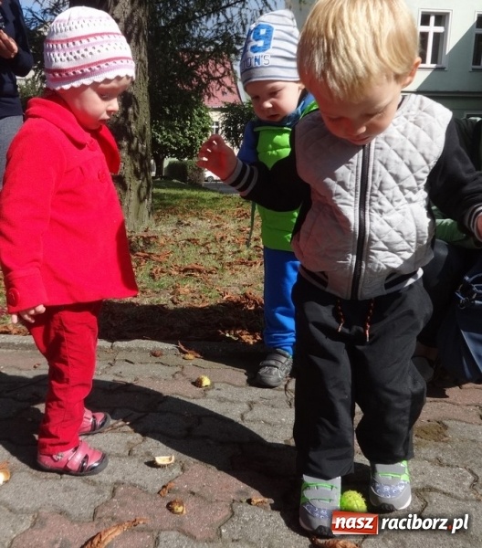 Zdjęcie w galerii na portalu naszraciborz.pl: Piękna jesień u maluchów w RCK wiadomości z regionu
