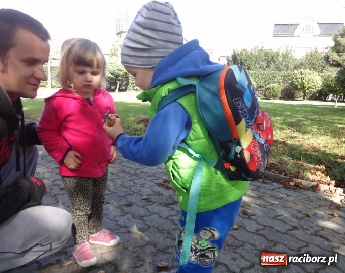 Zdjęcie w galerii na portalu naszraciborz.pl: Piękna jesień u maluchów w RCK wiadomości z regionu