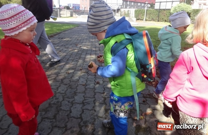 Zdjęcie w galerii na portalu naszraciborz.pl: Piękna jesień u maluchów w RCK wiadomości z regionu