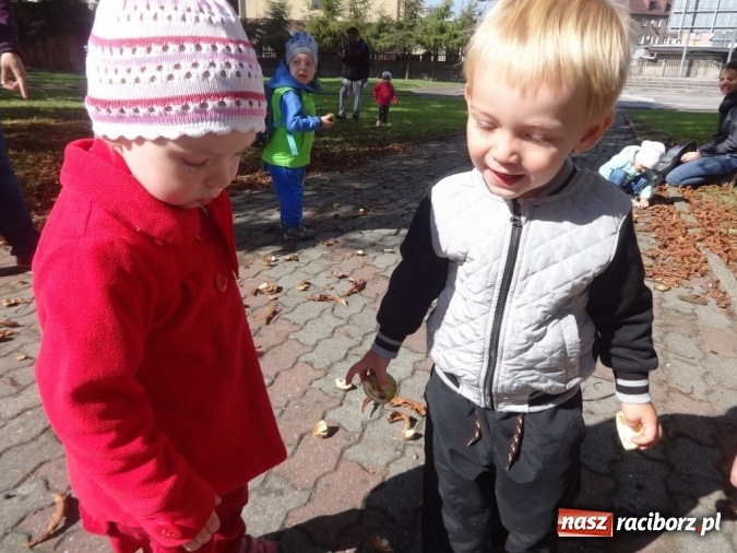 Zdjęcie w galerii na portalu naszraciborz.pl: Piękna jesień u maluchów w RCK wiadomości z regionu