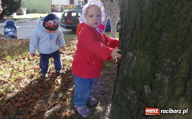 Zdjęcie w galerii na portalu naszraciborz.pl: Piękna jesień u maluchów w RCK wiadomości z regionu