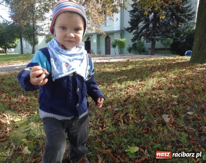 Zdjęcie w galerii na portalu naszraciborz.pl: Piękna jesień u maluchów w RCK wiadomości z regionu