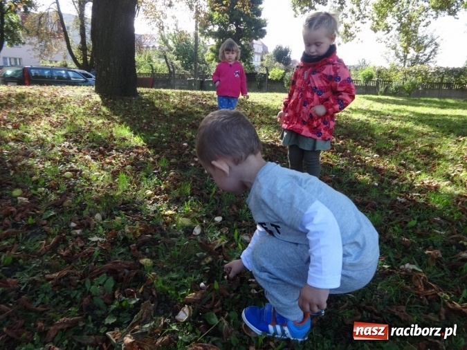 Zdjęcie w galerii na portalu naszraciborz.pl: Piękna jesień u maluchów w RCK wiadomości z regionu