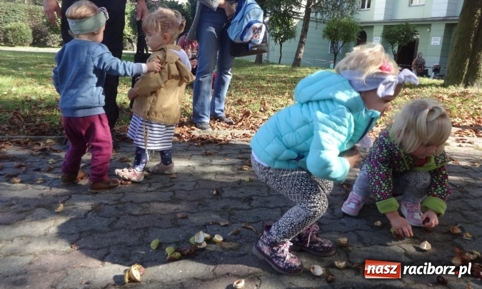 Zdjęcie w galerii na portalu naszraciborz.pl: Piękna jesień u maluchów w RCK wiadomości z regionu