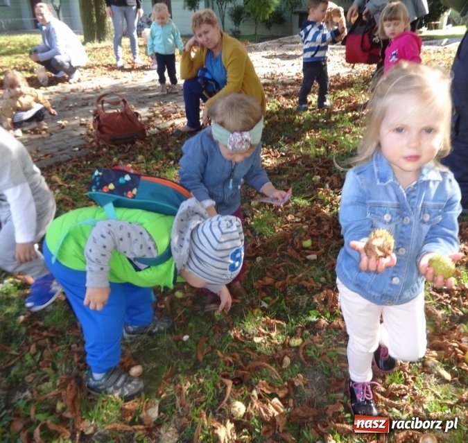 Zdjęcie w galerii na portalu naszraciborz.pl: Piękna jesień u maluchów w RCK wiadomości z regionu