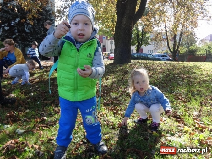 Zdjęcie w galerii na portalu naszraciborz.pl: Piękna jesień u maluchów w RCK wiadomości z regionu