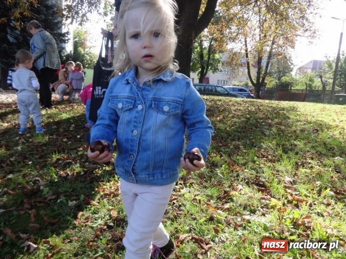 Zdjęcie w galerii na portalu naszraciborz.pl: Piękna jesień u maluchów w RCK wiadomości z regionu