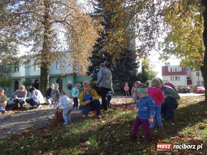 Zdjęcie w galerii na portalu naszraciborz.pl: Piękna jesień u maluchów w RCK wiadomości z regionu