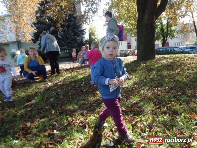 Zdjęcie w galerii na portalu naszraciborz.pl: Piękna jesień u maluchów w RCK wiadomości z regionu