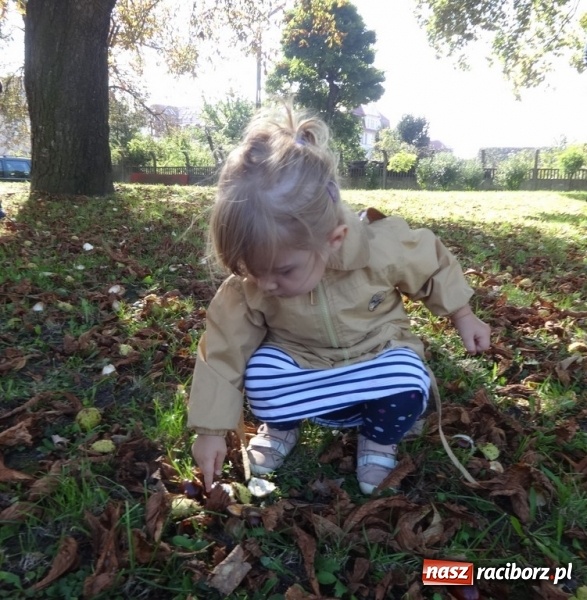 Zdjęcie w galerii na portalu naszraciborz.pl: Piękna jesień u maluchów w RCK wiadomości z regionu