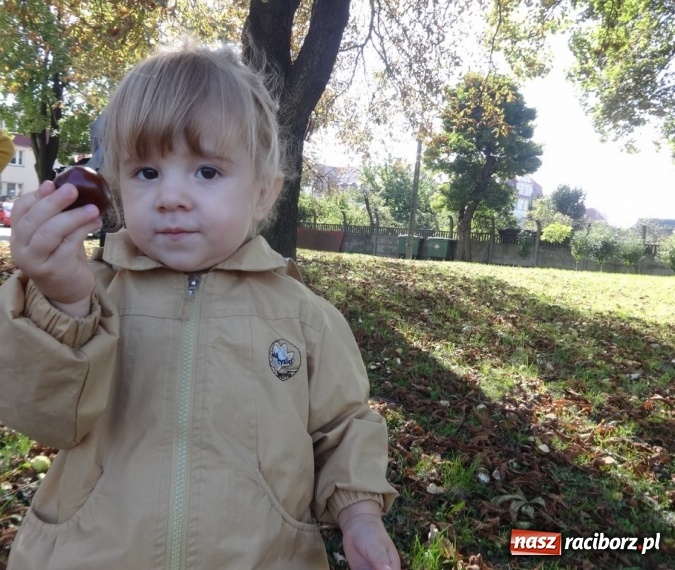 Zdjęcie w galerii na portalu naszraciborz.pl: Piękna jesień u maluchów w RCK wiadomości z regionu