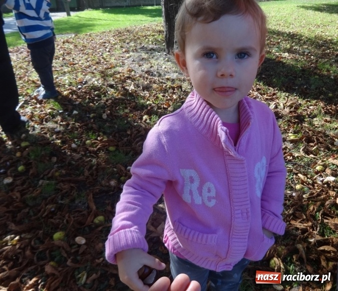 Zdjęcie w galerii na portalu naszraciborz.pl: Piękna jesień u maluchów w RCK wiadomości z regionu