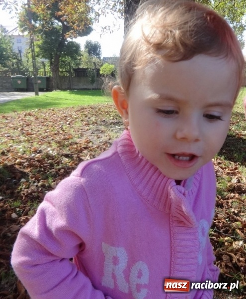 Zdjęcie w galerii na portalu naszraciborz.pl: Piękna jesień u maluchów w RCK wiadomości z regionu