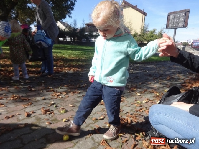 Zdjęcie w galerii na portalu naszraciborz.pl: Piękna jesień u maluchów w RCK wiadomości z regionu