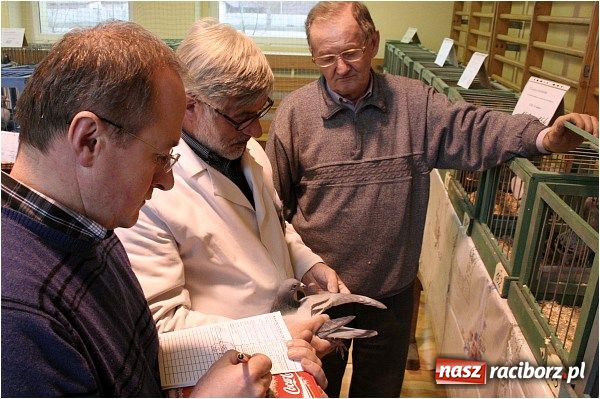 Zdjęcie w galerii na portalu naszraciborz.pl: Pocztowe championy na Płoni wiadomości z regionu