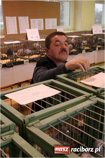 Zdjęcie w galerii na portalu naszraciborz.pl: Pocztowe championy na Płoni wiadomości z regionu