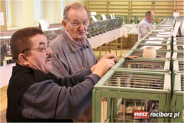 Zdjęcie w galerii na portalu naszraciborz.pl: Pocztowe championy na Płoni wiadomości z regionu