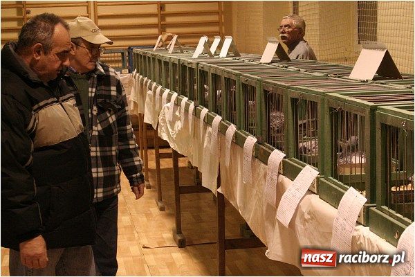 Zdjęcie w galerii na portalu naszraciborz.pl: Pocztowe championy na Płoni wiadomości z regionu