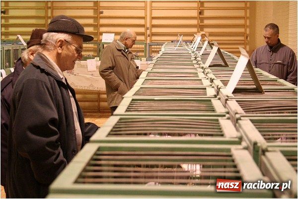 Zdjęcie w galerii na portalu naszraciborz.pl: Pocztowe championy na Płoni wiadomości z regionu