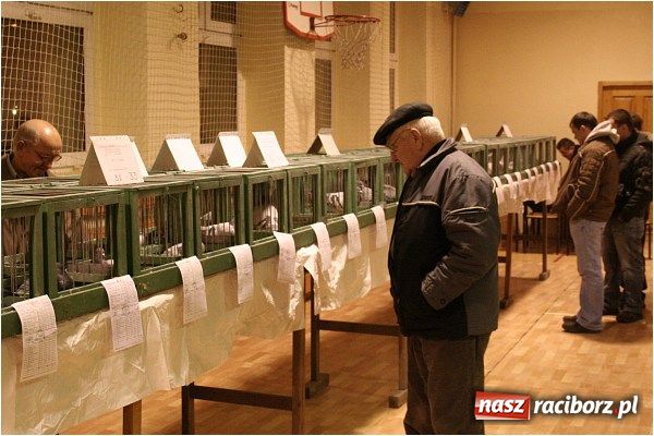 Zdjęcie w galerii na portalu naszraciborz.pl: Pocztowe championy na Płoni wiadomości z regionu