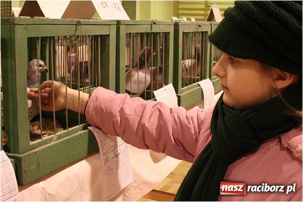 Zdjęcie w galerii na portalu naszraciborz.pl: Pocztowe championy na Płoni wiadomości z regionu