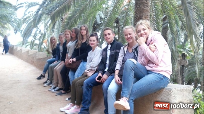 Zdjęcie w galerii na portalu naszraciborz.pl: Uczniowie z Raciborza na praktykach w Hiszpanii  wiadomości z regionu