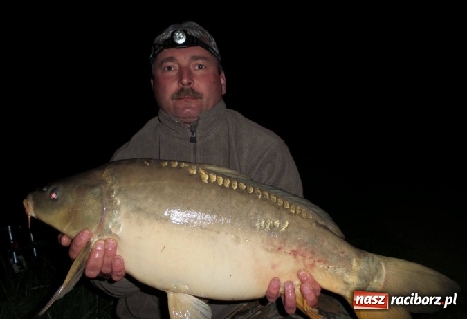 Zdjęcie w galerii na portalu naszraciborz.pl: Jest rekord! Aktywna wędkarska jesień na Babiczoku wiadomości z regionu