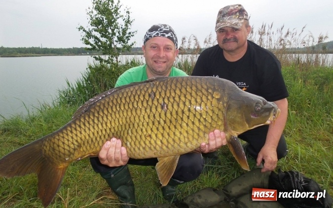 Zdjęcie w galerii na portalu naszraciborz.pl: Jest rekord! Aktywna wędkarska jesień na Babiczoku wiadomości z regionu