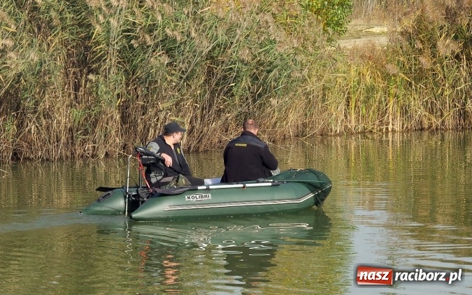 Zdjęcie w galerii na portalu naszraciborz.pl: Jest rekord! Aktywna wędkarska jesień na Babiczoku wiadomości z regionu