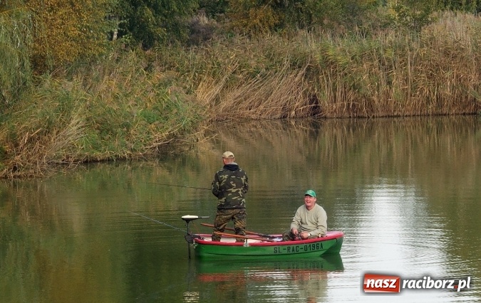 Zdjęcie w galerii na portalu naszraciborz.pl: Jest rekord! Aktywna wędkarska jesień na Babiczoku wiadomości z regionu