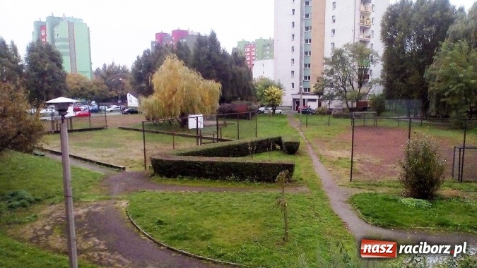 Zdjęcie w galerii na portalu naszraciborz.pl: Plac dla psów i podwórko Kossaka - zapoznaj się z dwoma projektami budżetu obywatelskiego wiadomości z regionu