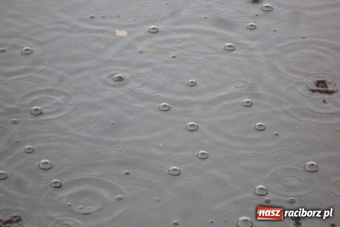 Zdjęcie w galerii na portalu naszraciborz.pl: Rejonowe Sztafetowe Biegi Przełajowe wiadomości z regionu