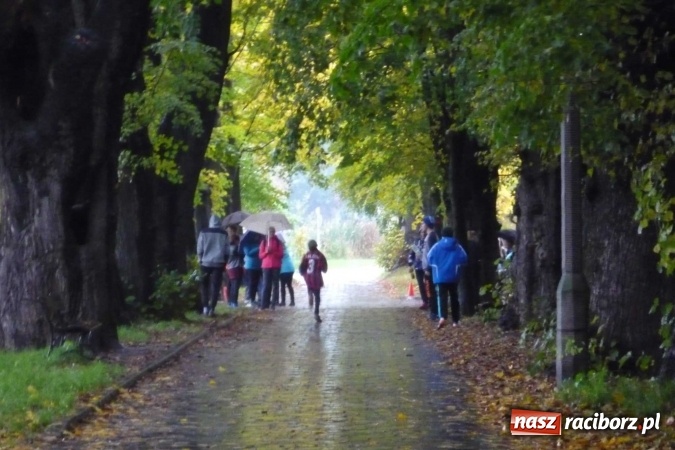 Zdjęcie w galerii na portalu naszraciborz.pl: Rejonowe Sztafetowe Biegi Przełajowe wiadomości z regionu