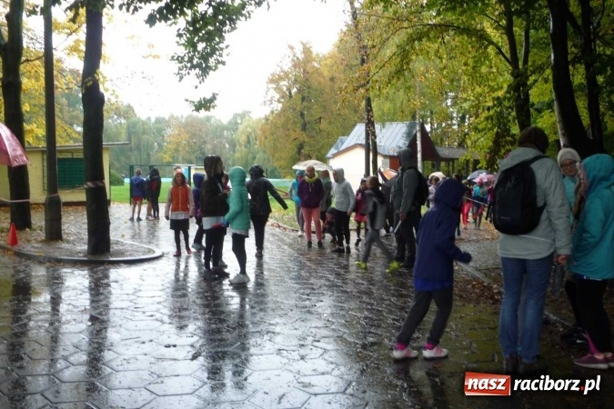 Zdjęcie w galerii na portalu naszraciborz.pl: Rejonowe Sztafetowe Biegi Przełajowe wiadomości z regionu