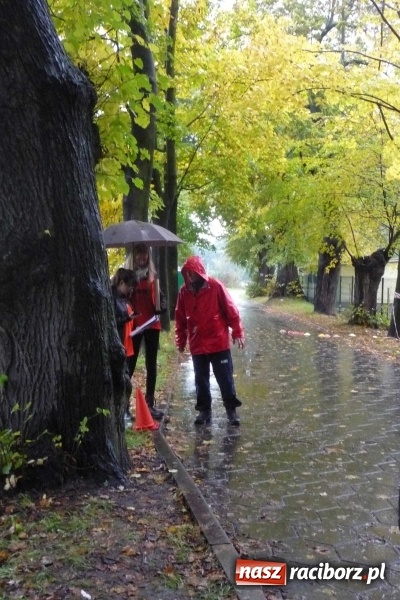 Zdjęcie w galerii na portalu naszraciborz.pl: Rejonowe Sztafetowe Biegi Przełajowe wiadomości z regionu