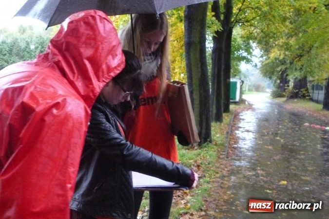 Zdjęcie w galerii na portalu naszraciborz.pl: Rejonowe Sztafetowe Biegi Przełajowe wiadomości z regionu