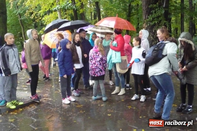 Zdjęcie w galerii na portalu naszraciborz.pl: Rejonowe Sztafetowe Biegi Przełajowe wiadomości z regionu