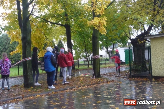Zdjęcie w galerii na portalu naszraciborz.pl: Rejonowe Sztafetowe Biegi Przełajowe wiadomości z regionu