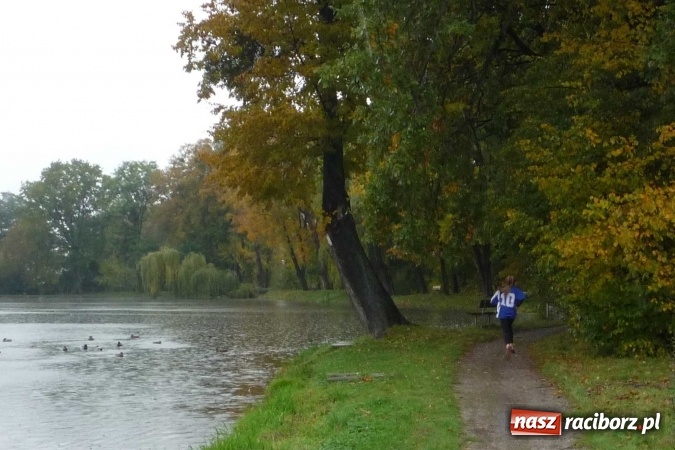 Zdjęcie w galerii na portalu naszraciborz.pl: Rejonowe Sztafetowe Biegi Przełajowe wiadomości z regionu