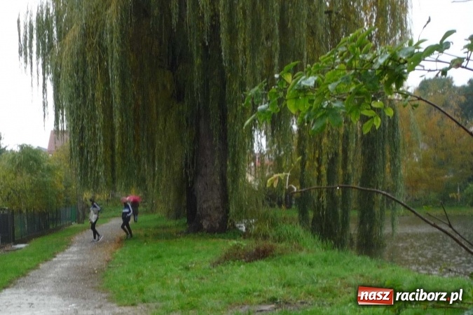 Zdjęcie w galerii na portalu naszraciborz.pl: Rejonowe Sztafetowe Biegi Przełajowe wiadomości z regionu